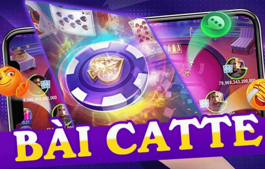 bài catte