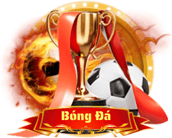 bóng đá