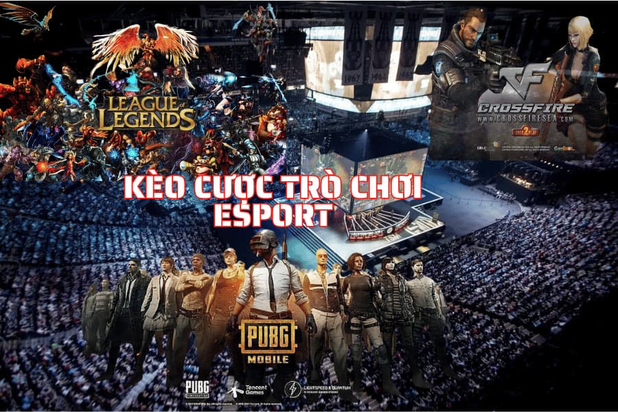 các kèo cược Esport