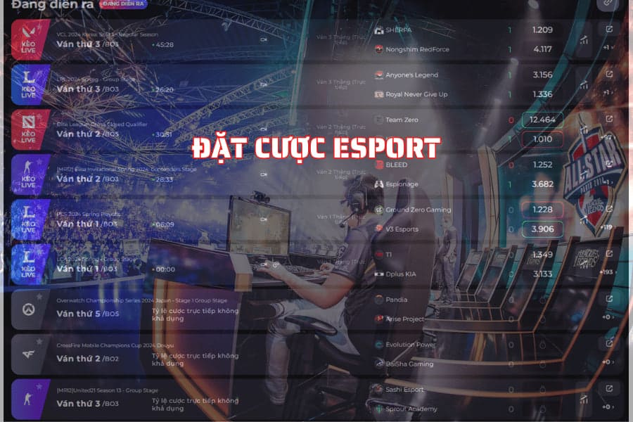 đặt cược esport
