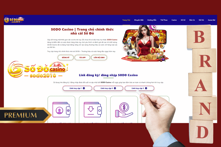 thay đổi tên miền sodo2010